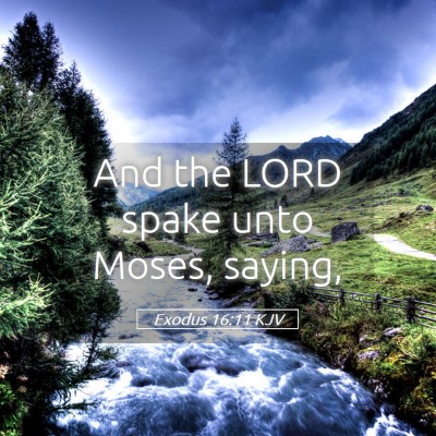 Picture 05 - Exodus 16:11 KJV - And the LORD spake unto Moses, - Bible Verse Picture