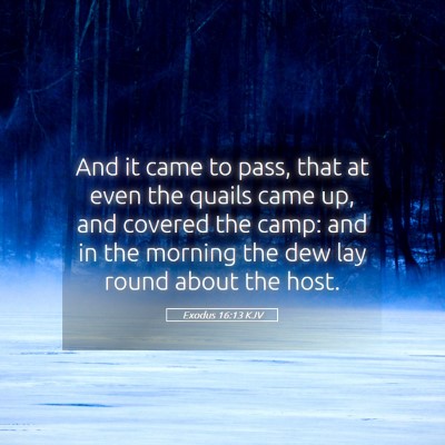 Picture 05 - Exodus 16:13 KJV - And it came to pass, that at even the quails came - Bible Verse Picture