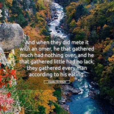 Picture 05 - Exodus 16:18 KJV - And when they did mete it with an omer, he that - Bible Verse Picture