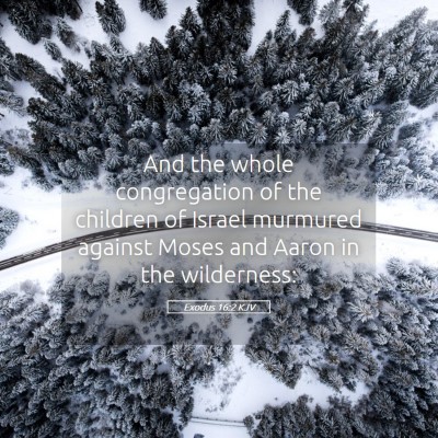 Picture 05 - Exodus 16:2 KJV - And the whole congregation of the children of - Bible Verse Picture