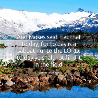 Picture 05 - Exodus 16:25 KJV - And Moses said, Eat that to day; for to day is a - Bible Verse Picture