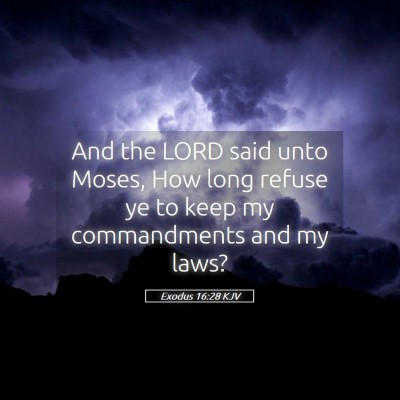 Picture 05 - Exodus 16:28 KJV - And the LORD said unto Moses, How long refuse ye - Bible Verse Picture