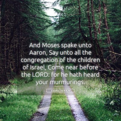 Picture 05 - Exodus 16:9 KJV - And Moses spake unto Aaron, Say unto all the - Bible Verse Picture