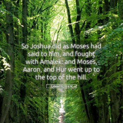 Picture 05 - Exodus 17:10 KJV - So Joshua did as Moses had said to him, and - Bible Verse Picture