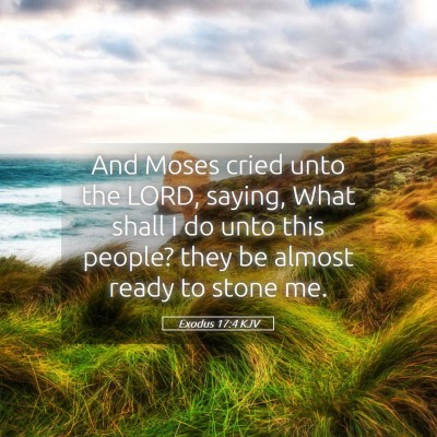 Picture 05 - Exodus 17:4 KJV - And Moses cried unto the LORD, saying, What shall - Bible Verse Picture