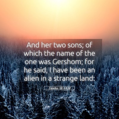 Picture 05 - Exodus 18:3 KJV - And her two sons; of which the name of the one - Bible Verse Picture