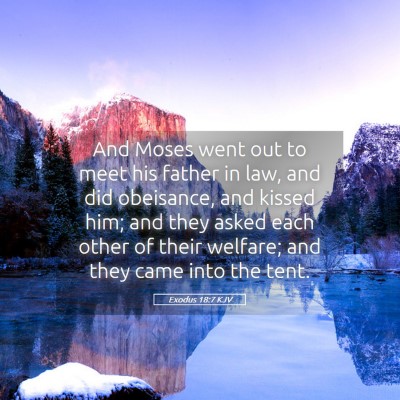 Picture 05 - Exodus 18:7 KJV - And Moses went out to meet his father in law, and - Bible Verse Picture