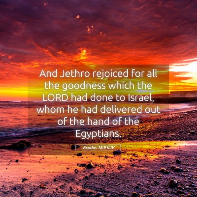 Picture 05 - Exodus 18:9 KJV - And Jethro rejoiced for all the goodness which - Bible Verse Picture