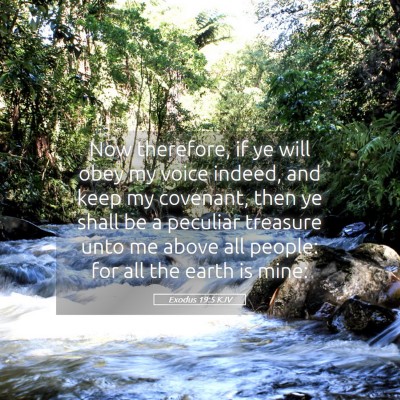 Picture 05 - Exodus 19:5 KJV - Now therefore, if ye will obey my voice indeed, - Bible Verse Picture