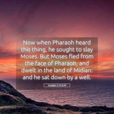 Picture 05 - Exodus 2:15 KJV - Now when Pharaoh heard this thing, he sought to - Bible Verse Picture