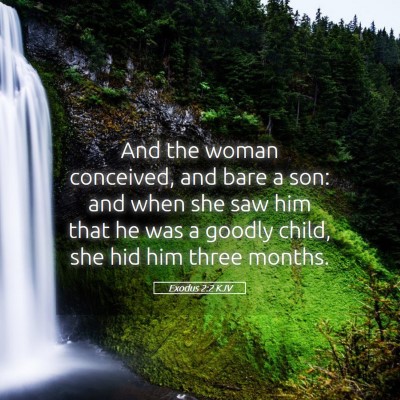 Picture 05 - Exodus 2:2 KJV - And the woman conceived, and bare a son: and when - Bible Verse Picture
