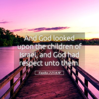 Picture 05 - Exodus 2:25 KJV - And God looked upon the children of Israel, and - Bible Verse Picture
