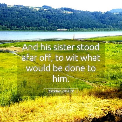 Picture 05 - Exodus 2:4 KJV - And his sister stood afar off, to wit what would - Bible Verse Picture