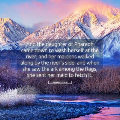 Picture 05 - Exodus 2:5 KJV - And the daughter of Pharaoh came down to wash - Bible Verse Picture