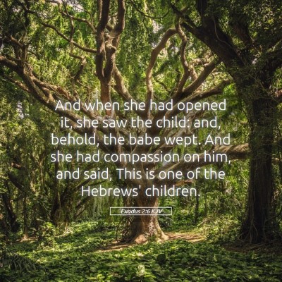 Picture 05 - Exodus 2:6 KJV - And when she had opened it, she saw the child: - Bible Verse Picture