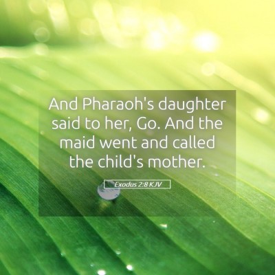 Picture 05 - Exodus 2:8 KJV - And Pharaoh's daughter said to her, Go. And the - Bible Verse Picture