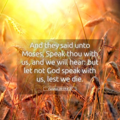Picture 05 - Exodus 20:19 KJV - And they said unto Moses, Speak thou with us, and - Bible Verse Picture