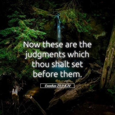 Picture 05 - Exodus 21:1 KJV - Now these are the judgments which thou shalt set - Bible Verse Picture