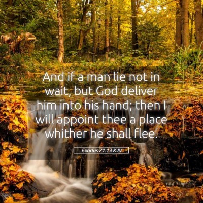 Picture 05 - Exodus 21:13 KJV - And if a man lie not in wait, but God deliver him - Bible Verse Picture