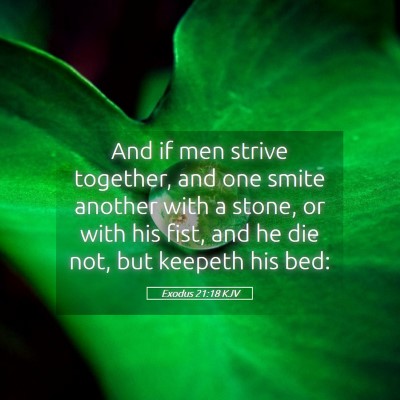 Picture 05 - Exodus 21:18 KJV - And if men strive together, and one smite another - Bible Verse Picture