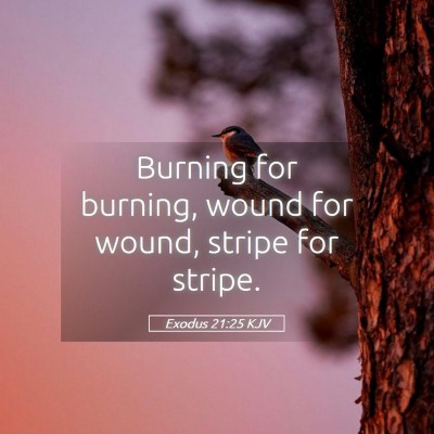 Picture 05 - Exodus 21:25 KJV - Burning for burning, wound for wound, stripe for - Bible Verse Picture