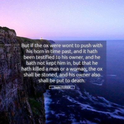 Picture 05 - Exodus 21:29 KJV - But if the ox were wont to push with his horn in - Bible Verse Picture