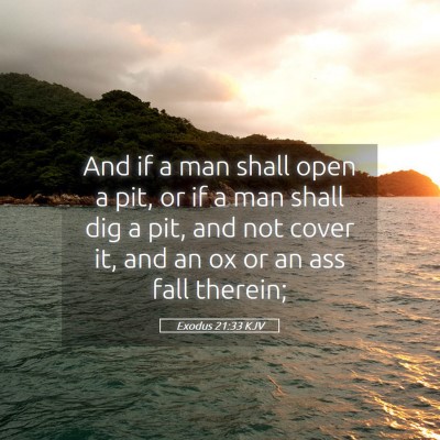 Picture 05 - Exodus 21:33 KJV - And if a man shall open a pit, or if a man shall - Bible Verse Picture