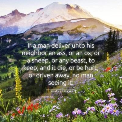 Picture 05 - Exodus 22:10 KJV - If a man deliver unto his neighbor an ass, or an - Bible Verse Picture