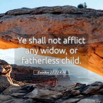 Picture 05 - Exodus 22:22 KJV - Ye shall not afflict any widow, or fatherless - Bible Verse Picture