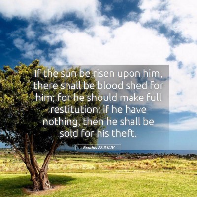 Picture 05 - Exodus 22:3 KJV - If the sun be risen upon him, there shall be - Bible Verse Picture