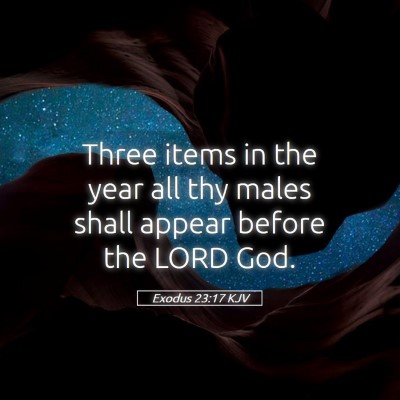 Picture 05 - Exodus 23:17 KJV - Three items in the year all thy males shall - Bible Verse Picture