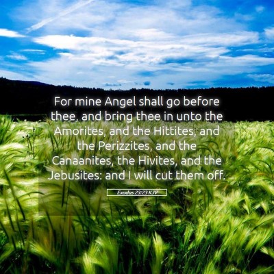Picture 05 - Exodus 23:23 KJV - For mine Angel shall go before thee, and bring - Bible Verse Picture