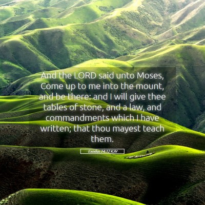 Picture 05 - Exodus 24:12 KJV - And the LORD said unto Moses, Come up to me into - Bible Verse Picture