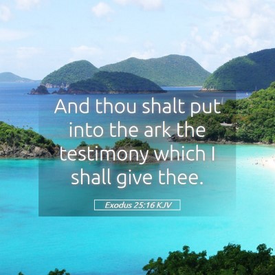 Picture 05 - Exodus 25:16 KJV - And thou shalt put into the ark the testimony - Bible Verse Picture