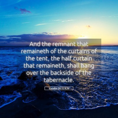 Picture 05 - Exodus 26:12 KJV - And the remnant that remaineth of the curtains of - Bible Verse Picture