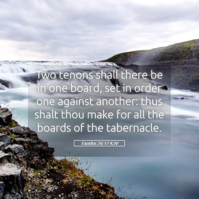 Picture 05 - Exodus 26:17 KJV - Two tenons shall there be in one board, set in - Bible Verse Picture