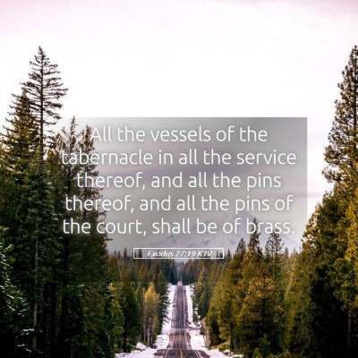Picture 05 - Exodus 27:19 KJV - All the vessels of the tabernacle in all the - Bible Verse Picture