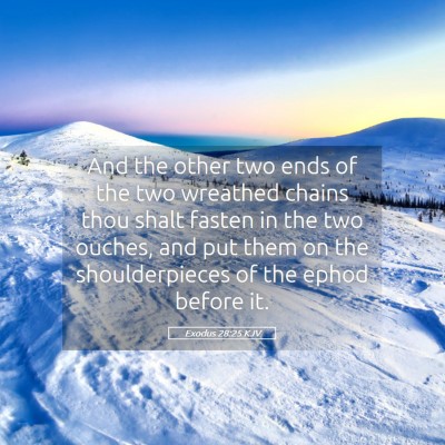 Picture 05 - Exodus 28:25 KJV - And the other two ends of the two wreathed chains - Bible Verse Picture
