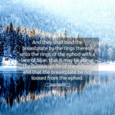 Picture 05 - Exodus 28:28 KJV - And they shall bind the breastplate by the rings - Bible Verse Picture