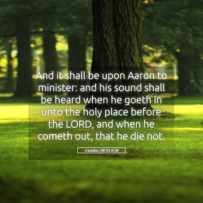 Picture 05 - Exodus 28:35 KJV - And it shall be upon Aaron to minister: and his - Bible Verse Picture