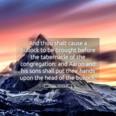 Picture 05 - Exodus 29:10 KJV - And thou shalt cause a bullock to be brought - Bible Verse Picture