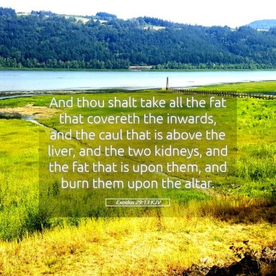 Picture 05 - Exodus 29:13 KJV - And thou shalt take all the fat that covereth the - Bible Verse Picture