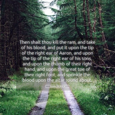 Picture 05 - Exodus 29:20 KJV - Then shalt thou kill the ram, and take of his - Bible Verse Picture