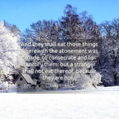 Picture 05 - Exodus 29:33 KJV - And they shall eat those things wherewith the - Bible Verse Picture
