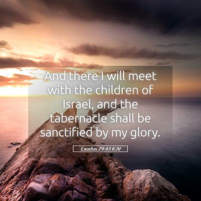 Picture 05 - Exodus 29:43 KJV - And there I will meet with the children of - Bible Verse Picture