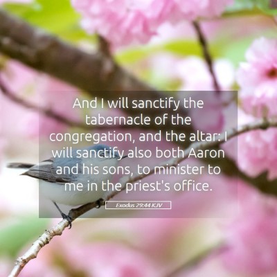 Picture 05 - Exodus 29:44 KJV - And I will sanctify the tabernacle of the - Bible Verse Picture