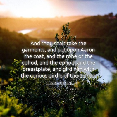 Picture 05 - Exodus 29:5 KJV - And thou shalt take the garments, and put upon - Bible Verse Picture