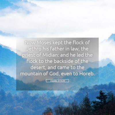 Picture 05 - Exodus 3:1 KJV - Now Moses kept the flock of Jethro his father in - Bible Verse Picture