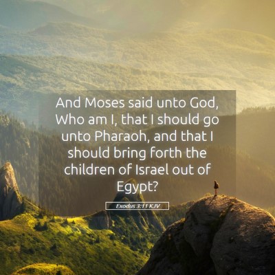 Picture 05 - Exodus 3:11 KJV - And Moses said unto God, Who am I, that I should - Bible Verse Picture