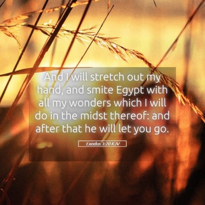 Picture 05 - Exodus 3:20 KJV - And I will stretch out my hand, and smite Egypt - Bible Verse Picture